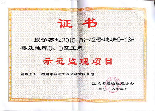 示范監(jiān)理項目